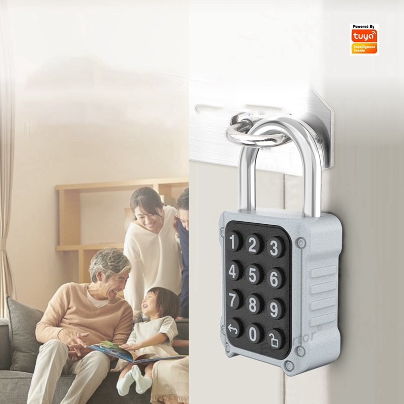 EGFirtor Tuya APP Electronic S - Lockbox Key Secure 评论和价格