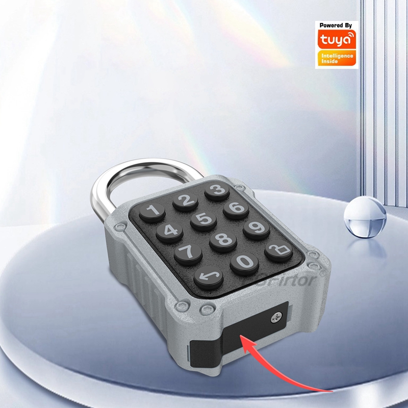 EGFirtor Tuya APP Electronic S - Lockbox Key Secure 评论和价格